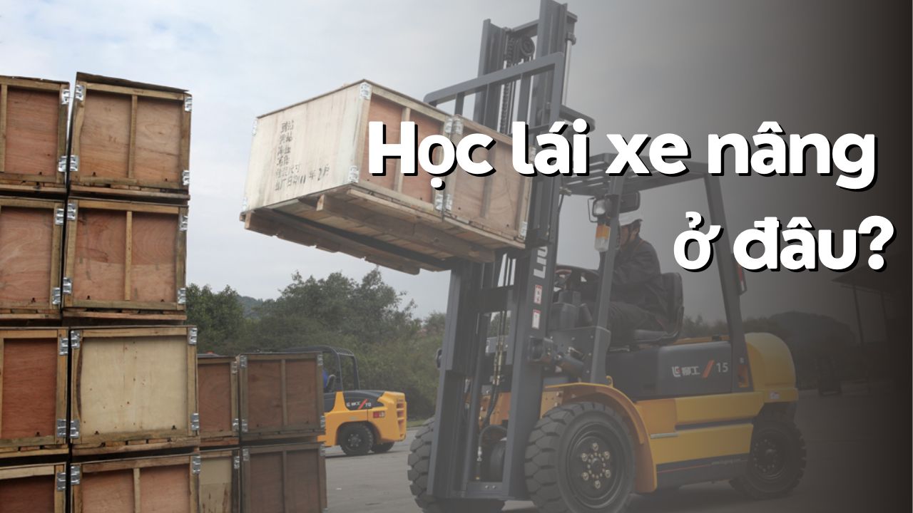 Học Lái Xe Nâng Ở Đâu? Thông tin chi tiết về khóa học xe nâng