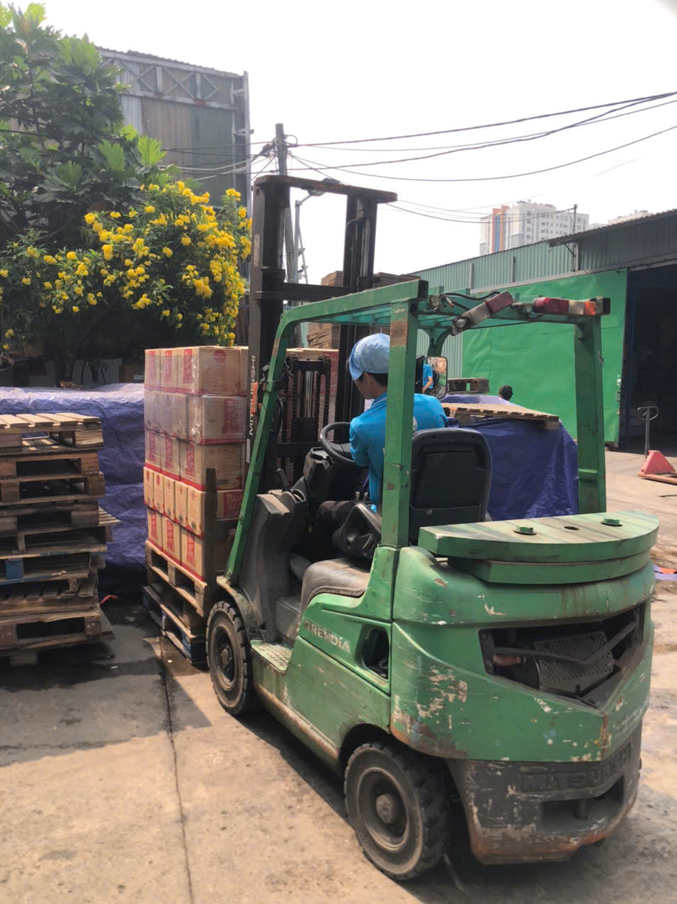 Học lái xe nâng tại Bình Định- Liên tục mở lớp