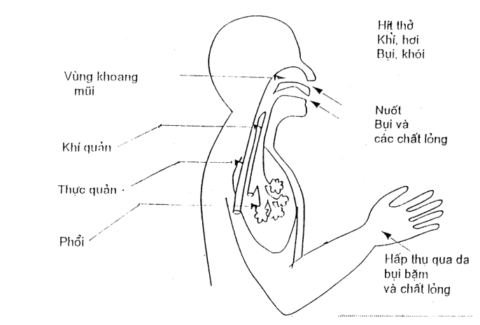 an toàn trong hàn cắt khí